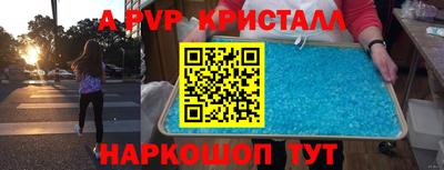 прущие грибы Гусиноозёрск