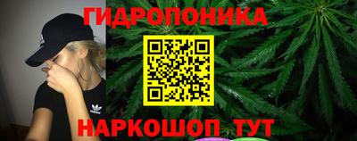 прущие грибы Гусиноозёрск