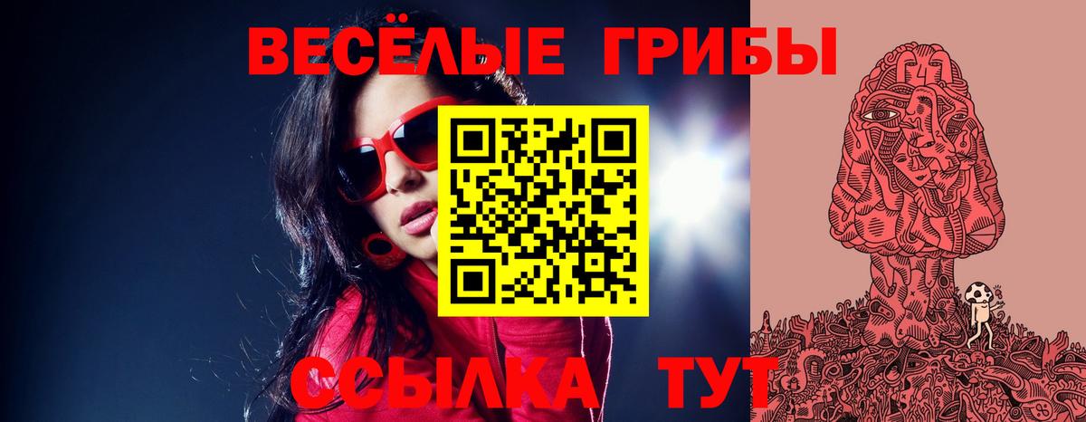 Новоалександровск  Галлюциногенные грибы GOLDEN TEACHER  Галлюциногенные грибы MAGIC MUSHROOMS  Вход с VPN 